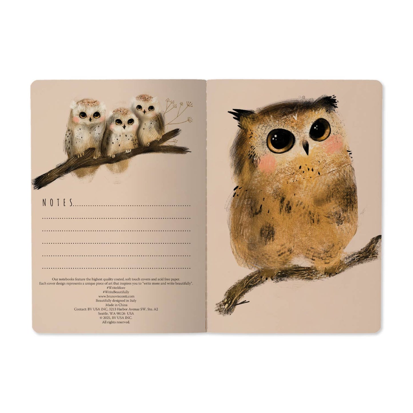 A5 Notebook -  Owlets