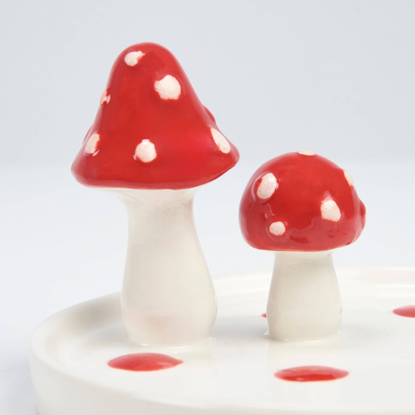 Spotted Mushroom Vanity Tray