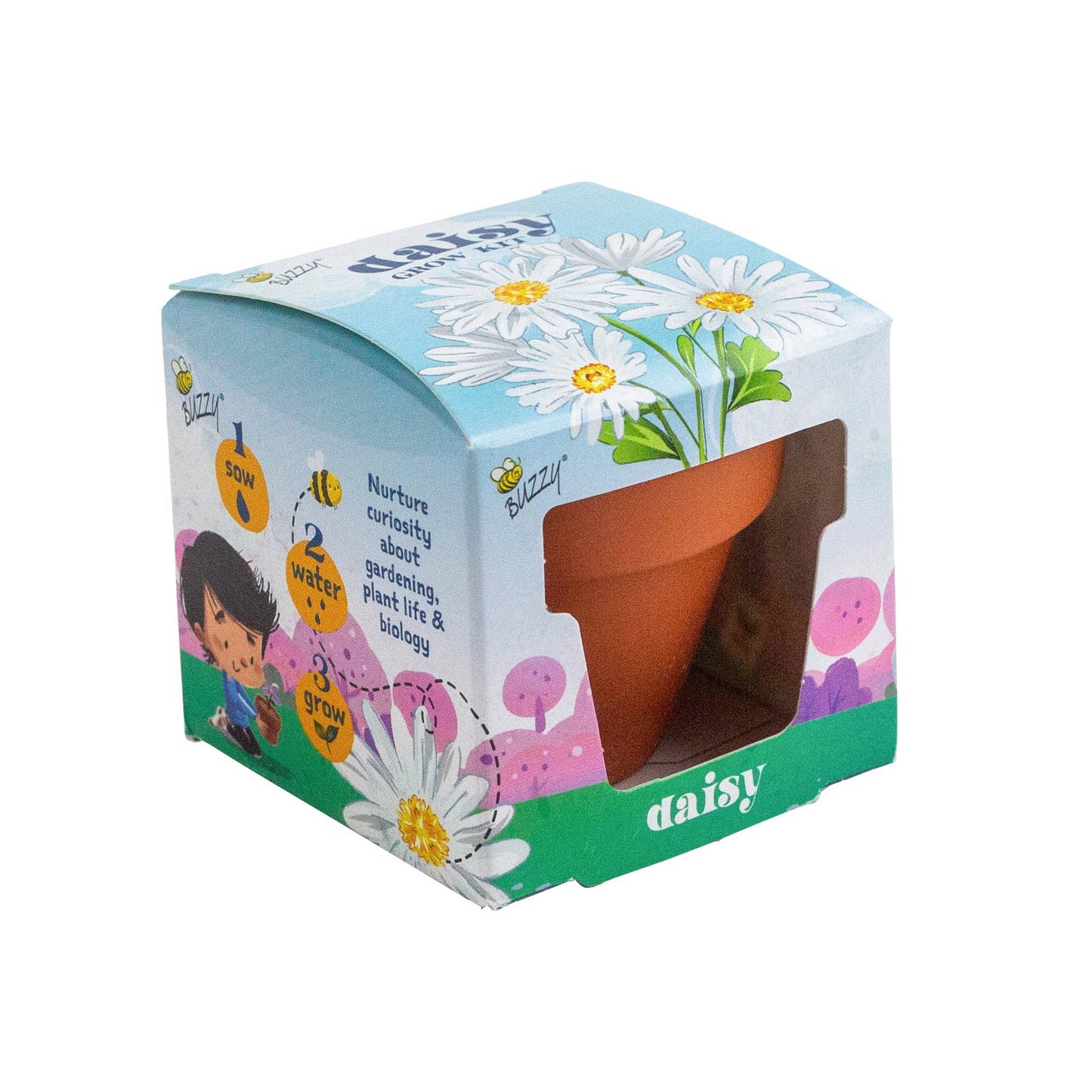 Mini Terracotta Daisy Grow Kit | Indoor Garden | Gift