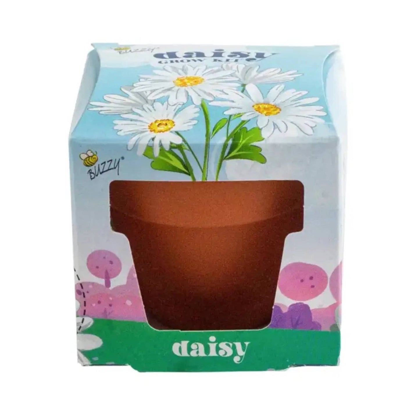 Mini Terracotta Daisy Grow Kit | Indoor Garden | Gift