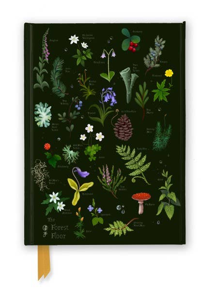 Anna Stead: The Forest Floor Journal