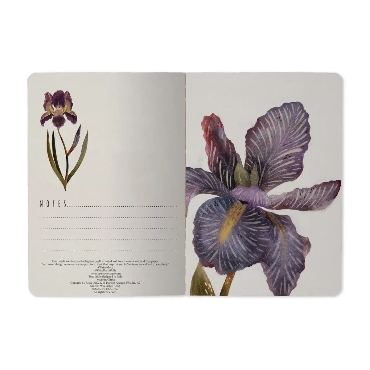 A6 Passport Notebook  - Irises