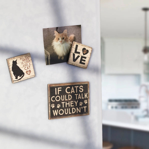 All You Need Is Love and A Cat Magnet Set