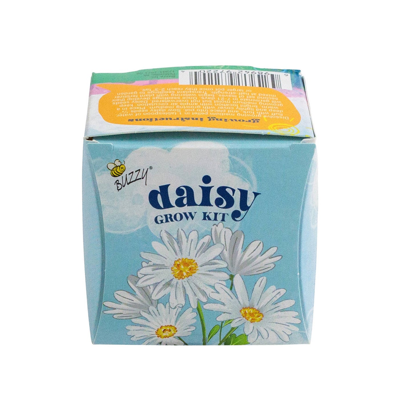 Mini Terracotta Daisy Grow Kit | Indoor Garden | Gift