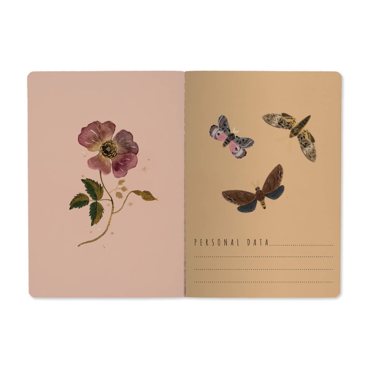 A5 Notebook -  Butterflies and Night Flowers