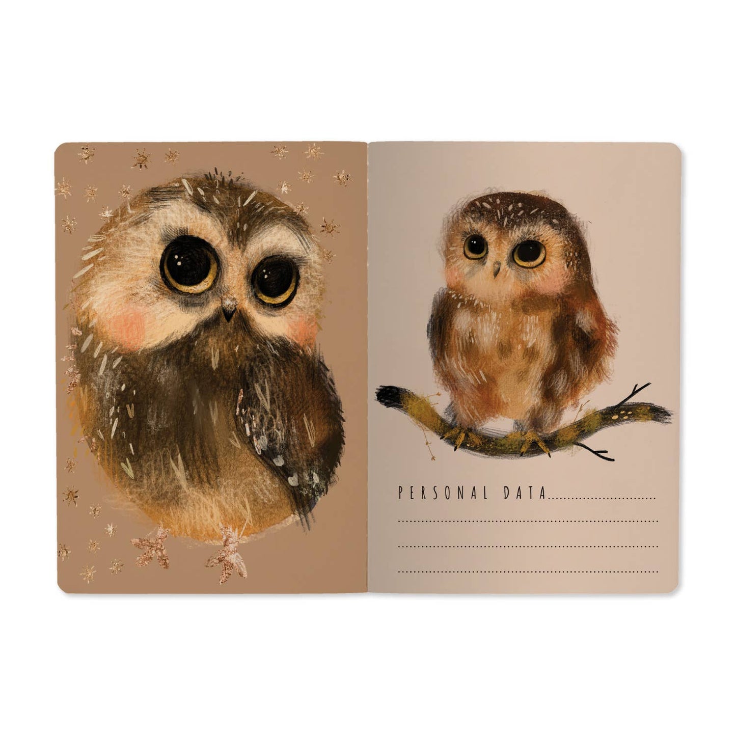 A5 Notebook -  Owlets
